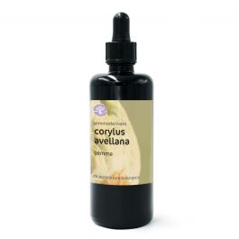 Corylus avellana, gemme – gemmoderivato di Nocciolo